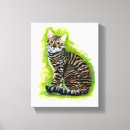 Pesquisar por raça impressão de canvas Gatinho