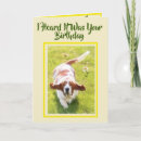 Pesquisar por vantagens cartoes postais Aniversário