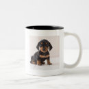 Pesquisar por dachshund diminuto canecas Animais
