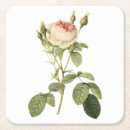 Pesquisar por muso Flor