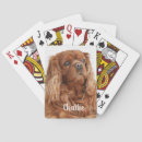 Pesquisar por king baralhos Cão