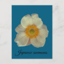 Pesquisar por flores japonesas cartoes postais Floral