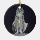 Pesquisar por coruja branca ornamentos Raptor