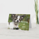 Pesquisar por touch cartoes Dog