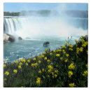Pesquisar por niagara azulejos Viagem