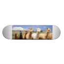 Pesquisar por alpaca skates Para crianças