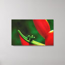 Pesquisar por flores exóticas impressão de canvas Verde
