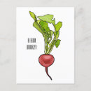 Pesquisar por rabanete cartoes postais Vegetal