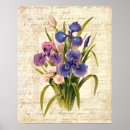 Pesquisar por botânica francesa artes pósteres Vintage