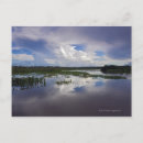 Pesquisar por delta cartoes postais Horizontal