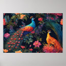 Pesquisar por azul de pavão pôsteres pósteres Ouro