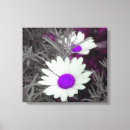 Pesquisar por da margarida impressão de canvas Floral