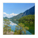 Pesquisar por no lago azulejos Floresta