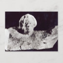 Pesquisar por maestro cartoes postais Música