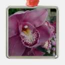 Pesquisar por orquídeas roxas ornamentos Flores