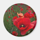 Pesquisar por atrativo imas Linda