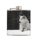 Pesquisar por lobo cantis Animais