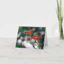 Pesquisar por blank floral cartoes Sympathy