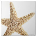 Pesquisar por estrela azulejos Sealife