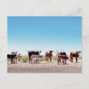 Pesquisar por três vacas cartoes postais Gado