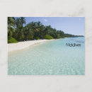 Pesquisar por beautiful cartoes postais Blue