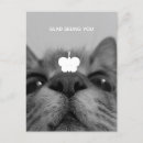 Pesquisar por felines cartoes postais Preto e branco
