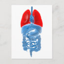 Pesquisar por intestinos humanos cartoes postais Músculo