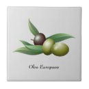 Pesquisar por azeitona azulejos Verde