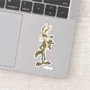 Pesquisar por wile e coyote adesivos Loney toons coyote