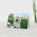 Pesquisar por sorriso bonito cartoes Para ela