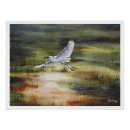 Pesquisar por grande egret branco pôsteres pósteres Natureza