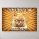 Pesquisar por zen pósteres Gatos