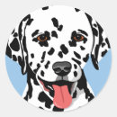 Pesquisar por dalmatian adesivos Cães