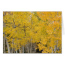 Pesquisar por álamos tremedores cartoes postais Amarelo