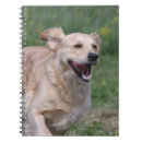 Pesquisar por golden retriever cadernos de notas Funcionamento