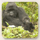 Pesquisar por gorila porta copos Vida selvagem