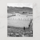 Pesquisar por guerra cartoes postais Fotos de guerra civil