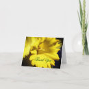 Pesquisar por flor amarela do daffodil Convidados