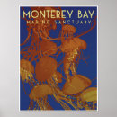 Pesquisar por baía de monterey Águas vivas