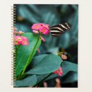 Pesquisar por asa da borboleta agendas Rosa