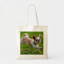Pesquisar por shih tzu cão bolsas Fotografia