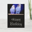Pesquisar por parakeet Aniversário