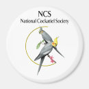 Pesquisar por cockatiel imas Pássaro