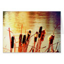 Pesquisar por talão cartoes Lagoa