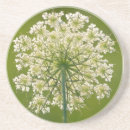 Pesquisar por anne porta copos Wildflower