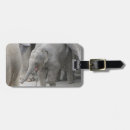 Pesquisar por elefante bagagem tags Viagem