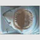 Pesquisar por boca aberta tubarão Para todos