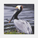 Pesquisar por posudo Natureza
