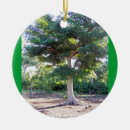 Pesquisar por sabedoria ornamentos Qualquer pessoa