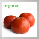 Pesquisar por tomate pósteres Vermelho